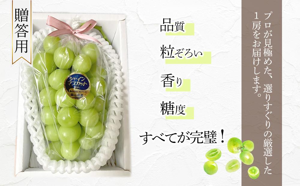 ぶどう 2026年  岡山県産 高級 シャインマスカット 700g以上 1房 贈答品＜9月以降発送＞