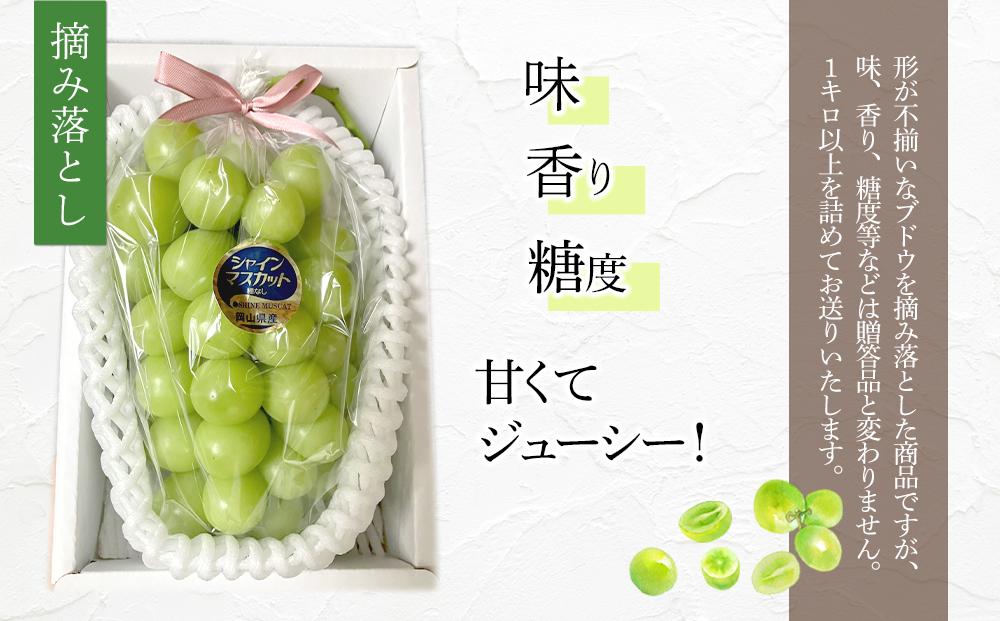 ぶどう 2025年 先行予約 岡山県産 訳あり シャインマスカット 1kg以上 摘み落とし＜9月以降発送＞: 岡山市ANAのふるさと納税