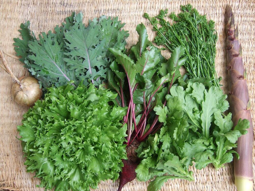 野菜 2025年 旬の固定種野菜 バイオダイナミック農業 7品目前後（11月～2月のお届け）常温配送