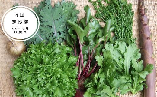 野菜［2025年 4回定期便］ 旬の固定種野菜 バイオダイナミック農業  7品目前後（11月～2月のお届け）常温配送