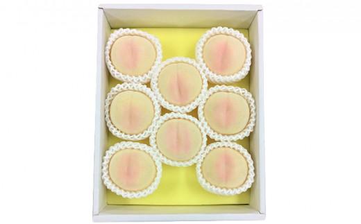 桃 2026年  白桃 8玉 合計約2.0kg もも モモ 岡山市産 国産 フルーツ 果物 ギフト