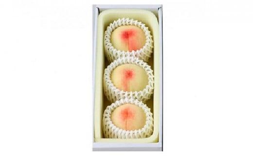 桃 2026年 岡山の 白桃 大玉3玉 早生種 合計約840g もも モモ 岡山県産 国産 フルーツ 果物 ギフト