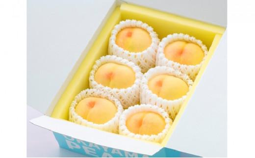 桃 2026年 ご家庭用 岡山の 白桃 早生種 5～6玉 合計約1.3kg もも モモ 岡山県産 国産 フルーツ 果物 ギフト