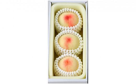 桃 2026年 岡山の 白桃 大玉3玉（晩生種）（1玉約300g） もも モモ 岡山県産 国産 フルーツ 果物 ギフト