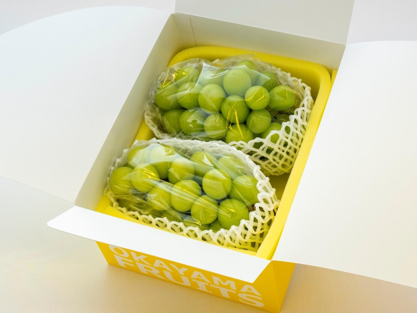 ぶどう 2026年 ご家庭用 岡山県産 シャインマスカット 1.2kg（2～3房）（クール便）