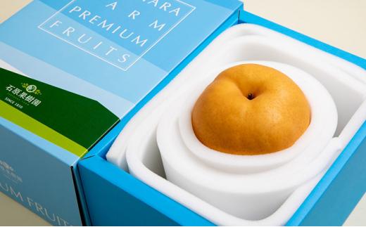 梨 2025年  備前横綱梨（あたご梨） 超大玉1玉 1kg～1.4kg 贈答箱 ナシ なし 岡山県産 国産 フルーツ 果物 ギフト 石原果樹園