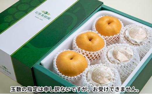 梨 2025年  あたご梨 4～9玉 合計約4.5kg 贈答箱 ナシ なし 岡山県産 国産 フルーツ 果物 ギフト 石原果樹園