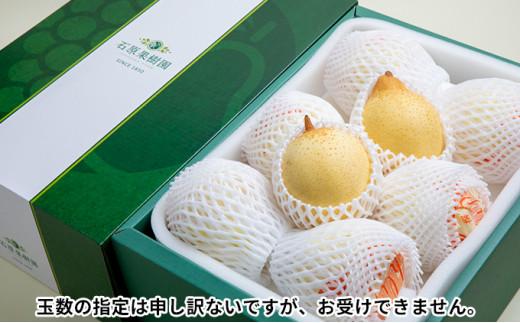 梨 2025年  鴨梨（ヤーリー）6～10玉 約4kg 贈答箱 ナシ なし 岡山県産 国産 フルーツ 果物 ギフト 石原果樹園