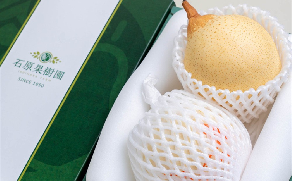 梨 2026年  鴨梨（ヤーリー）2玉 贈答箱赤秀【ナシ なし 岡山県産 国産 フルーツ 果物 ギフト 石原果樹園】