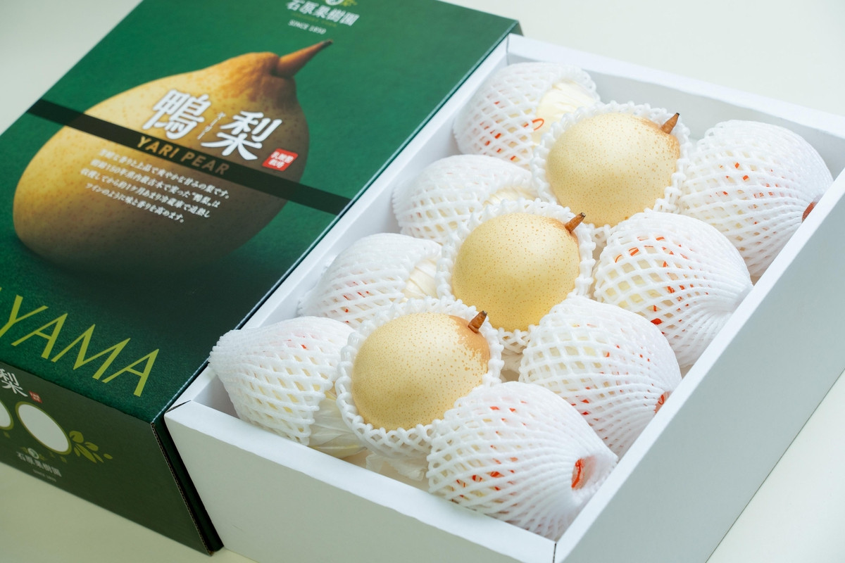 梨 2026年  鴨梨（ヤーリー）小玉11～13玉 約4kg 化粧贈答箱 赤秀【ナシ なし 岡山県産 国産 フルーツ 果物 ギフト 石原果樹園】