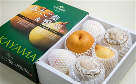 梨 2026年  あたご梨・鴨梨（ヤーリー）詰合せ 合計約4kg 化粧贈答箱赤秀【ナシ なし 岡山県産 国産 フルーツ 果物 ギフト 石原果樹園】
