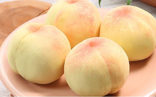 桃 2026年 8月発送 ご家庭用 岡山の 白桃（早生、中生種）約2.0kg 7～9玉 もも モモ フルーツ 果物 岡山市 一宮地区産 国産 赤木農園