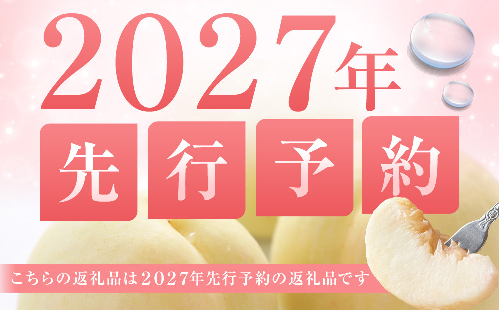桃 2027年 岡山県産 白桃（晩生種） 約1.3kg 5～6玉（クール便）