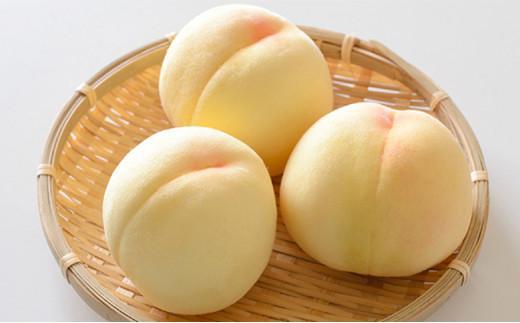 フルーツ 定期便 2025年  天晴れ おかやま 果物 定期便 (4)  白桃 1回 ニュー ピオーネ 1回／ シャイン マスカット 1回 合計3回お届け！ 岡山県産 国産 セット ギフト