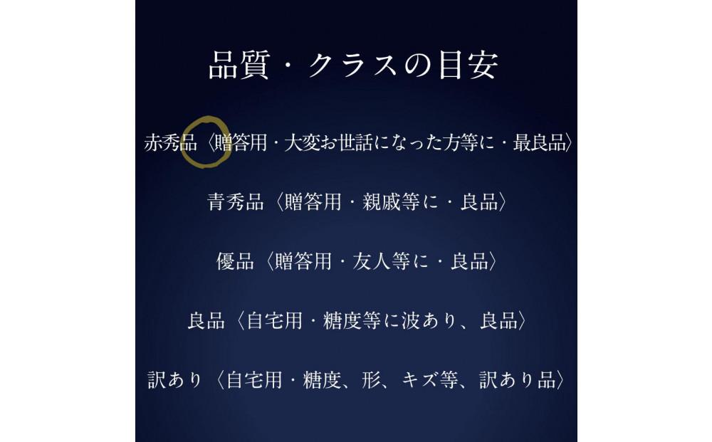 [HS]【定期便 全2回】ぶどう 2026年  9月・10月発送 最高級品シャイン マスカット 晴王 2房 〈合計約1.4kg〉 ブドウ 葡萄  岡山県産船穂産 フルーツ 果物 ギフト