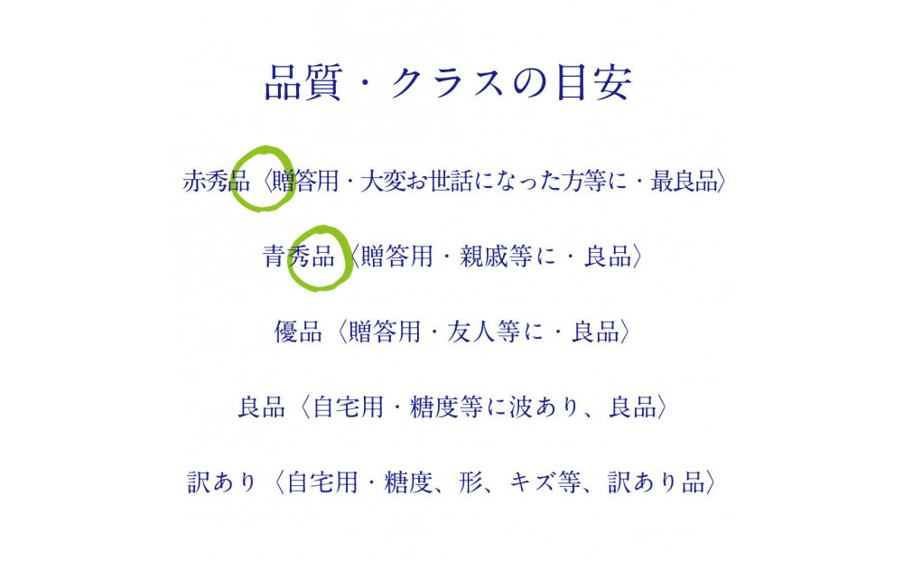 [HS]【定期便全2回】ぶどう先行予約9月・10月発送シャインマスカット晴王2k箱（3～5房）