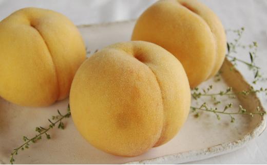 桃 2025年  黄金桃 1.5kg 5～6玉 もも モモ 岡山 国産 フルーツ 果物 ギフト 桃茂実苑