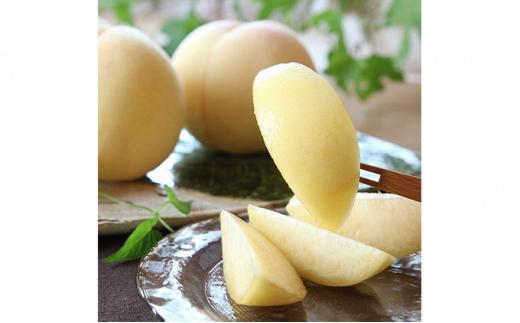 桃 2025年  清水 白桃 3玉 合計約900g （1玉約300g） もも モモ 岡山 国産 フルーツ 果物 ギフト 桃茂実苑