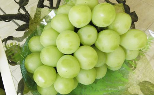 ＜2025年8月上旬～8月下旬発送＞岡山市産 マスカット・オブ・アレキサンドリア 1房 約750g ぶどう 葡萄