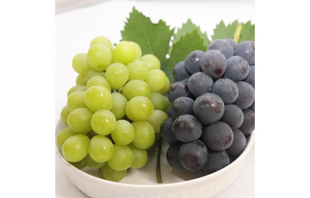 くぼ農園 ぶどう セレクション 4～5房（合計約2.0kg）