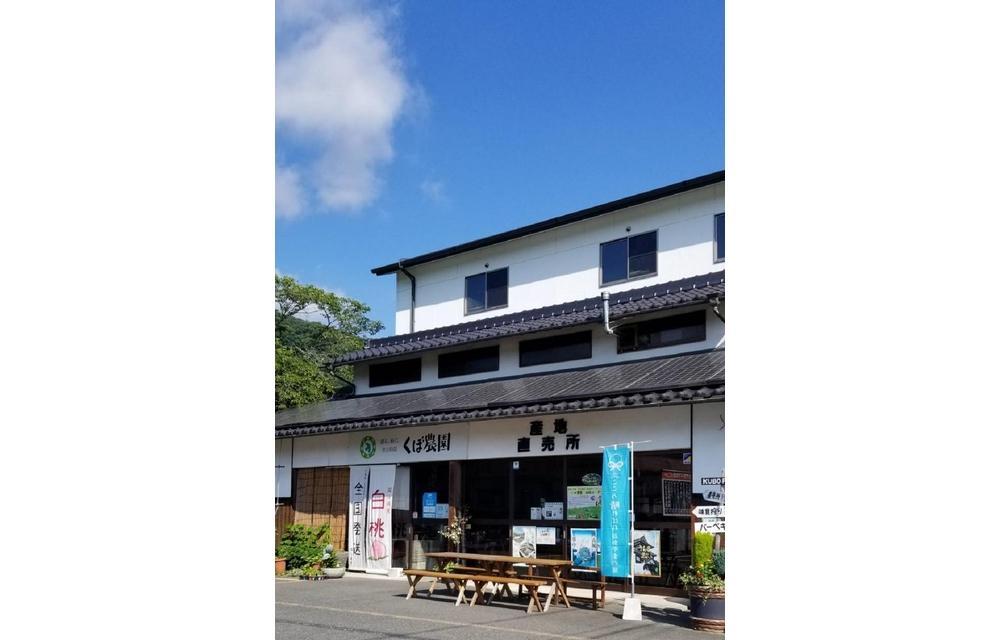 くぼ農園 白桃 セレクション 約1.5kg