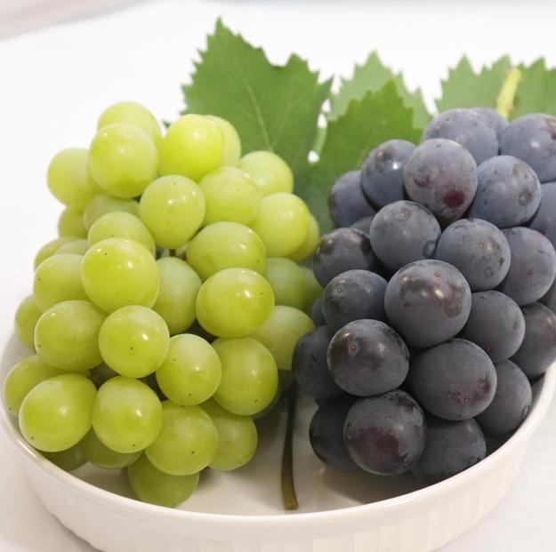 2026年 くぼ農園 ぶどう セレクション 4房（合計約2.0kg）