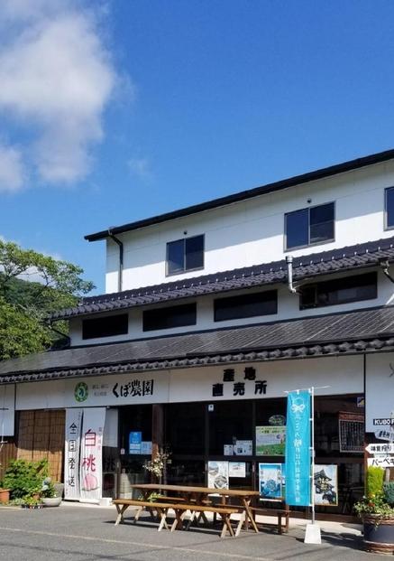 くぼ農園 白桃 セレクション 約1.5kg