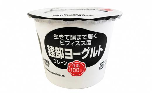 無添加　建部ヨーグルト（プレーンタイプ）20個