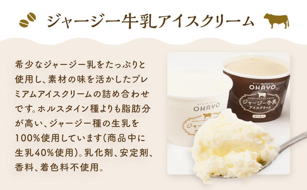 【お歳暮】オハヨー乳業 ジャージー牛乳アイスクリーム 120ml×10個（ミルク・コーヒー）ギフト