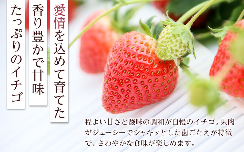 岡山市産「ゆめのか」12～15粒 450g×1パック 贈答用 化粧箱入り＜北海道・沖縄県・離島配送不可＞