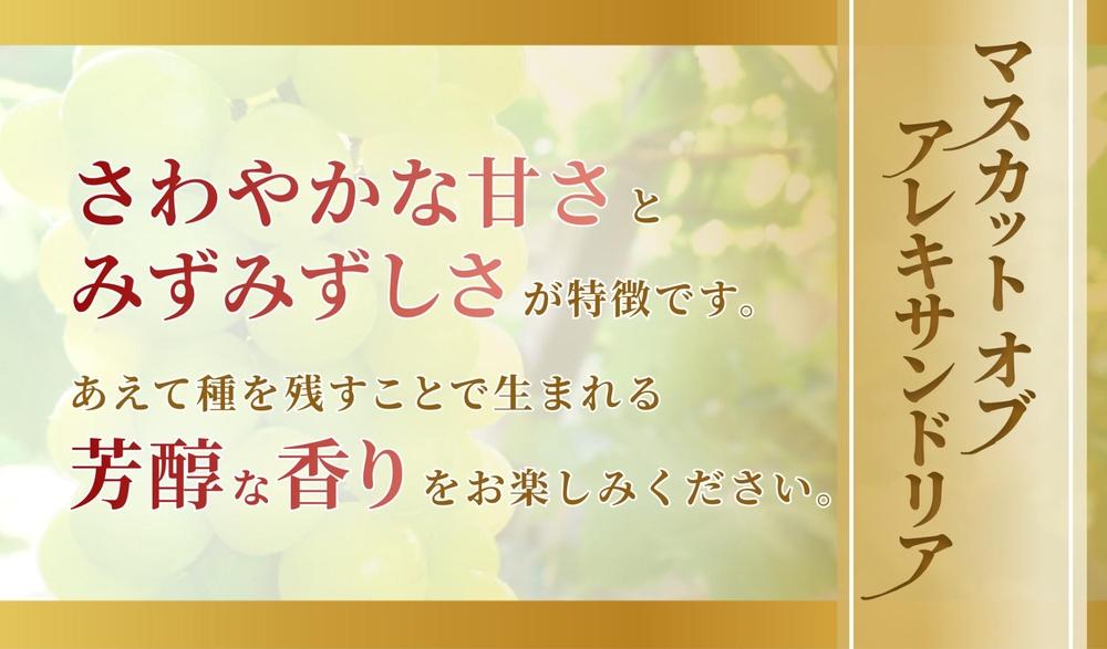 《2025年発送》岡山県産 マスカットオブアレキサンドリア 600g以上 1房