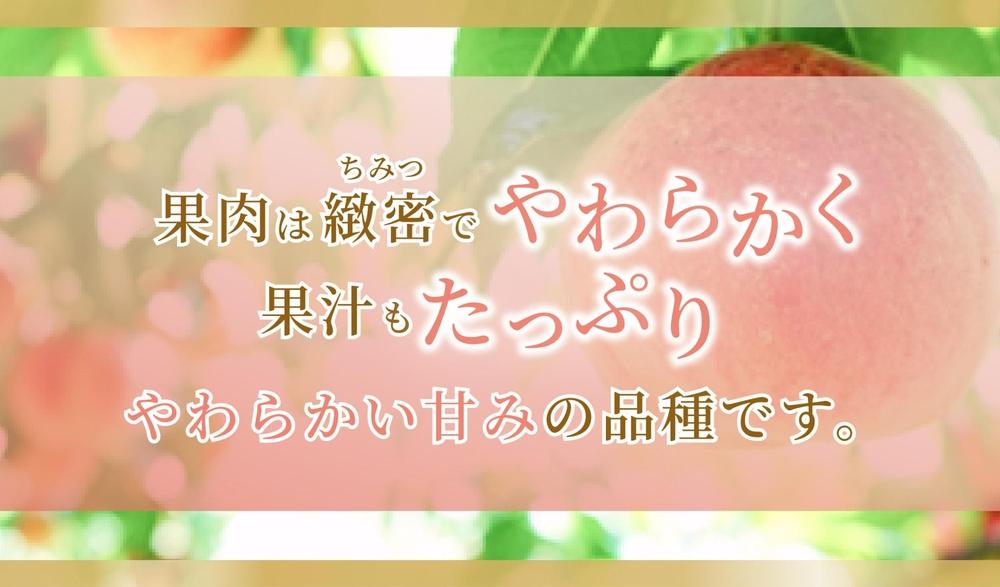 《2025年発送》岡山県産 桃 白鳳 1.5kg 5～7玉