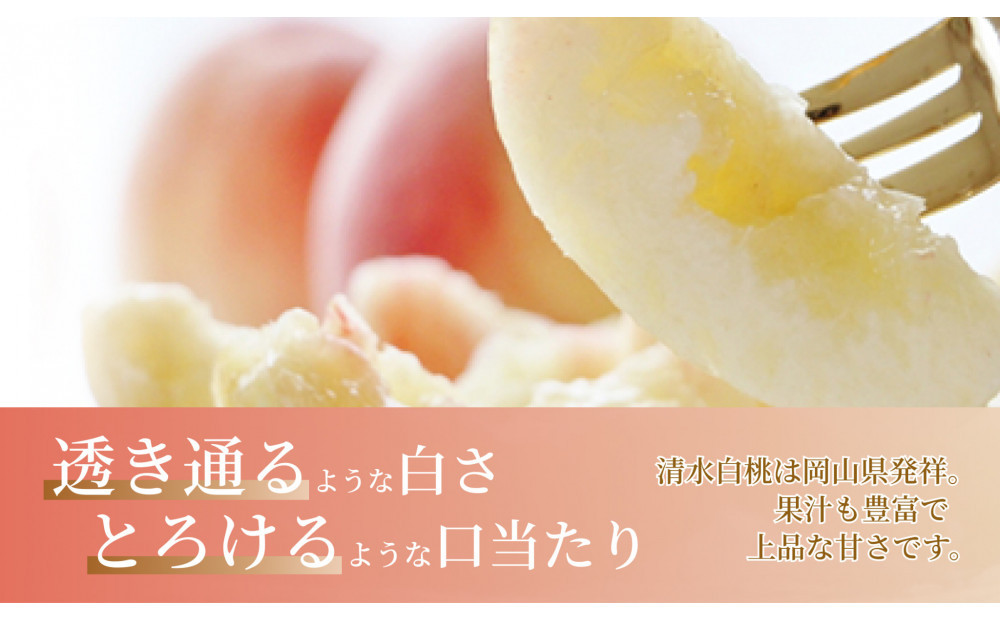 《2026年発送》岡山県産 清水白桃 1.5kg 5～7玉
