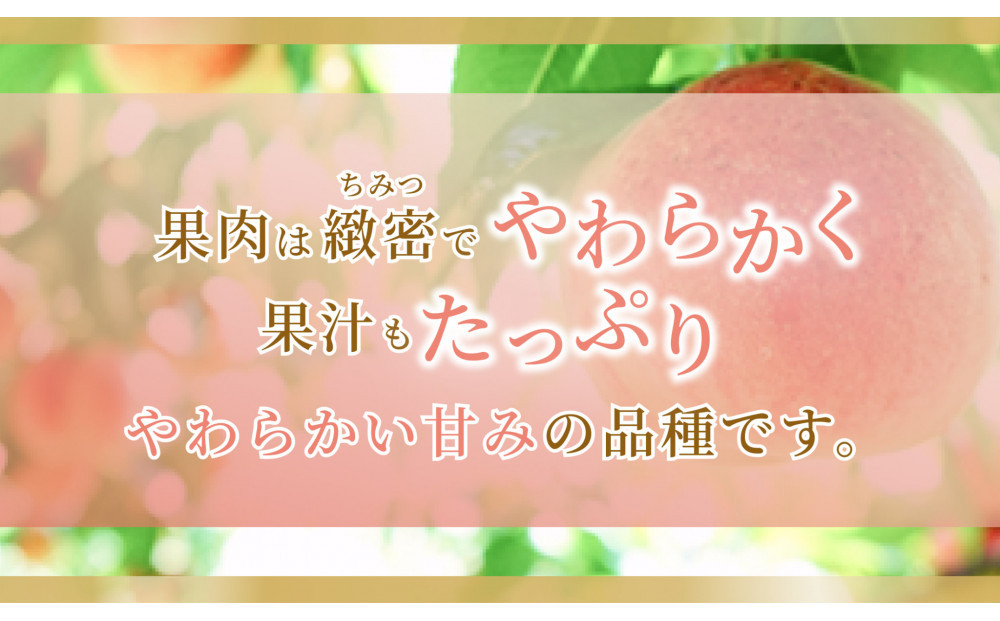 《2026年発送》岡山県産 桃 白鳳 1.5kg 5～7玉
