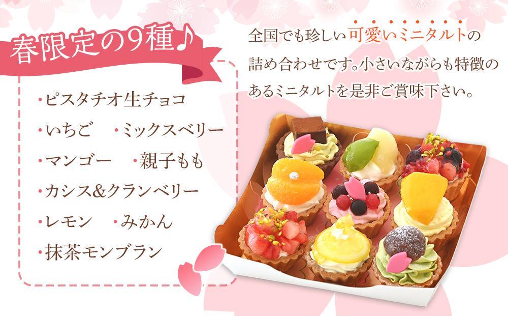 春のみにたるとアソート 9個入り＜フレッシュタルトのお店STYLE＞
