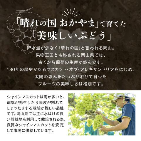 岡山県産 シャインマスカット 2kg以上（3～4房）＜先行受付：2026年9月上旬～発送＞