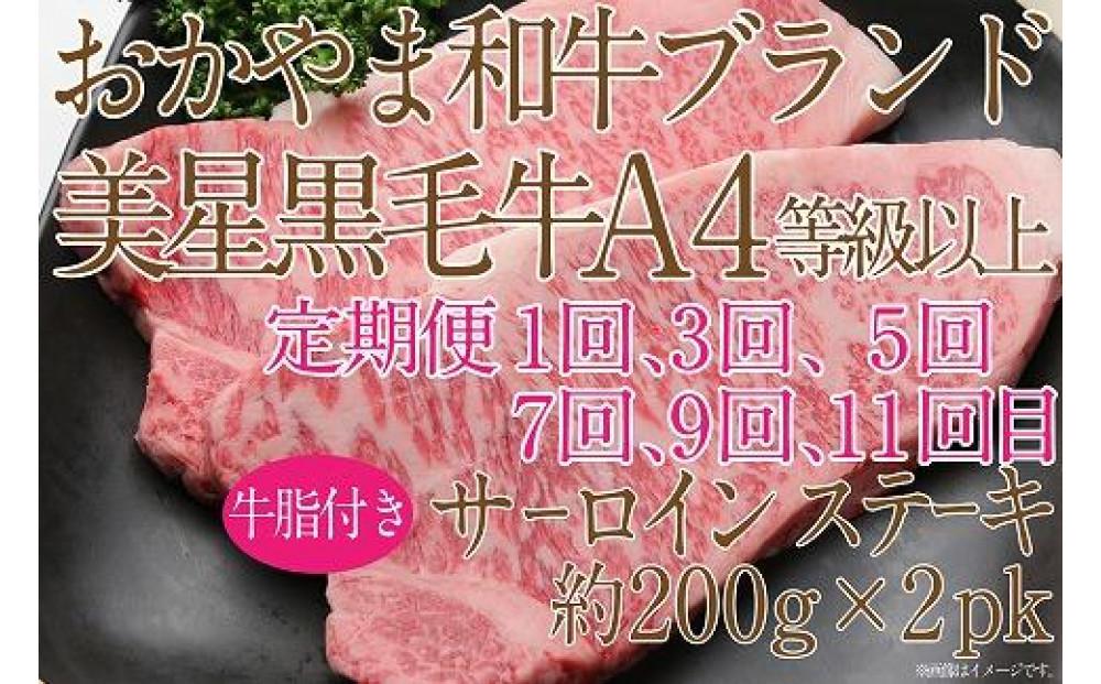 【定期便12か月】岡山　黒毛和牛　美星牛　A４等級以上　牛脂付き　１２か月定期便 合計約４８００g　 生産者直送便　美星牧場　定期便