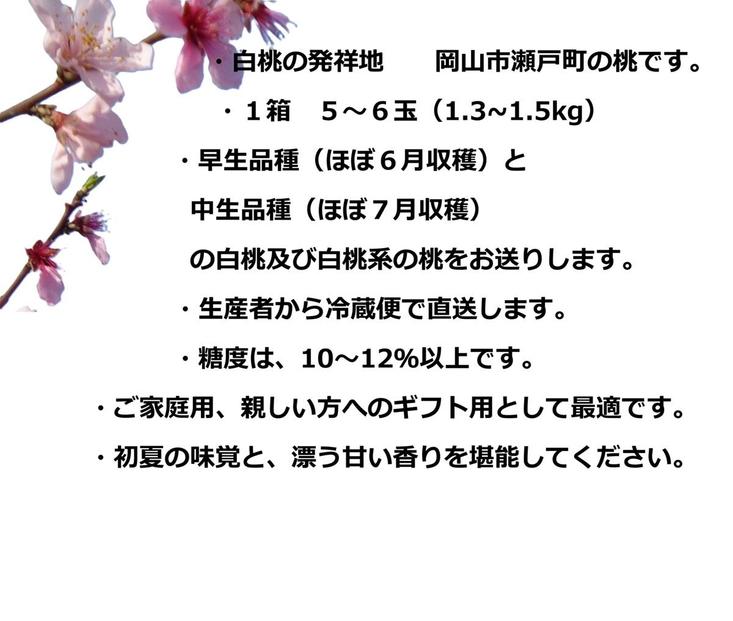 ふるさと納税 岡山市 桃 5~6個 瀬戸町 万と美桃園　