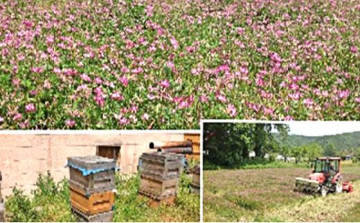 岡山県産 おかやま有機無農薬栽培認定 きぬむすめ 精米 2kg