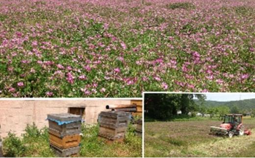岡山県産 れんげ米 朝日 1kg 精米・れんげ米みそ 800g 詰め合わせ セット