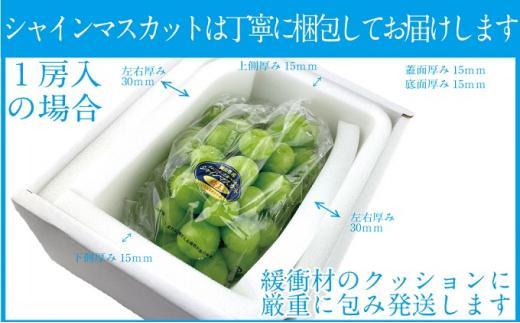 ぶどう 2026年  シャイン マスカット 晴王 1房 約600g ブドウ 葡萄  岡山県産 国産 フルーツ 果物 ギフト