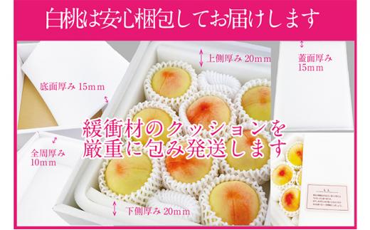 桃 2026年  岡山の白桃 300g以上×6玉 | 白桃 旬 みずみずしい 晴れの国 おかやま 岡山県産 フルーツ王国 果物王国