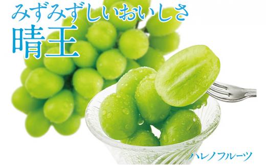 ぶどう 2026年  シャイン マスカット 晴王 2房 計約1.1kg | 晴れの国 おかやま 岡山県産 フルーツ王国 果物王国