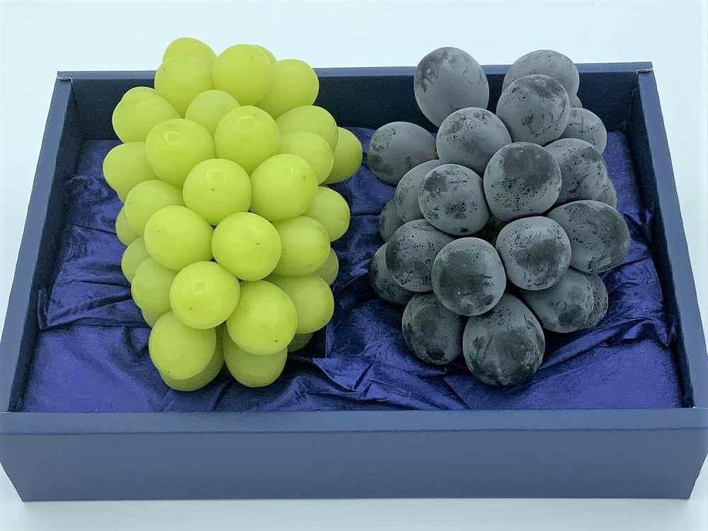 ぶどう 2026年  ニュー ピオーネ1房・シャインマスカット1房（1房500g前後）たけまさぶどう園