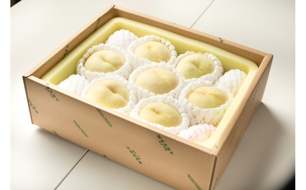 桃 【2026年6月発送】  井頭 白桃 7～8玉入り 2.2kg規格箱 もも モモ 岡山県産 国産 フルーツ 果物 ギフト 井頭栄果園