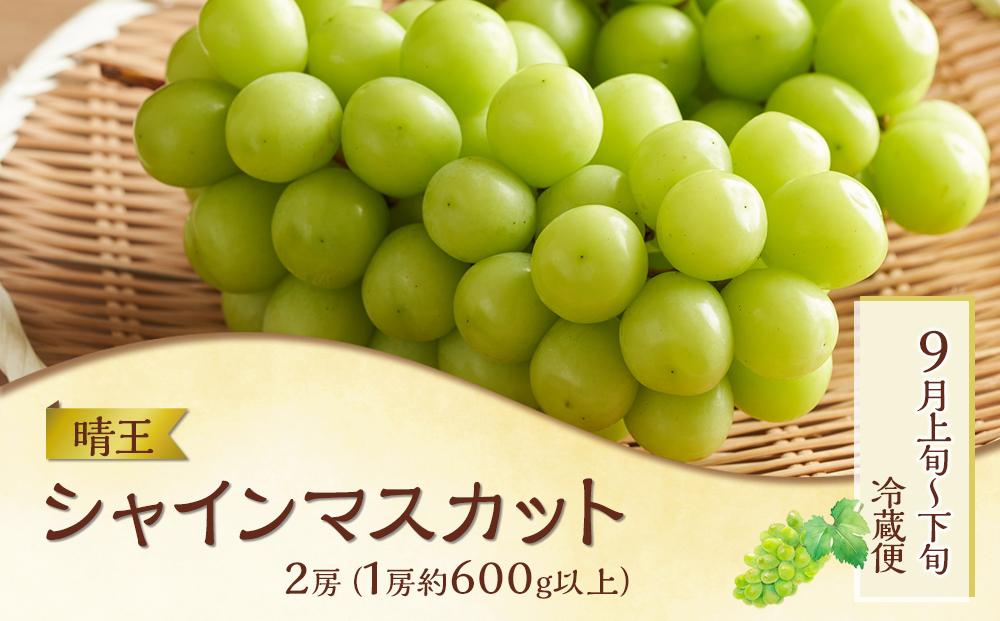 フルーツ 肉 2026年  晴れの国 おかやま の 旬のフルーツと A5等級 黒毛 和牛 5回 定期便 ぶどう 牛肉 梨 岡山県産 国産 ギフト