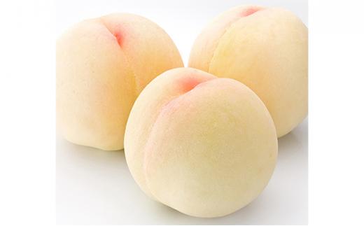 定期 2026年  晴れの国 岡山県産 フルーツ定期便 5回コース