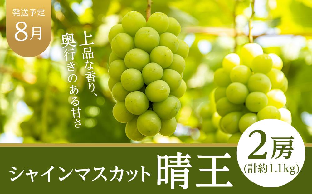 フルーツ 定期便 2026年  晴れの国 岡山県産 旬のフルーツ定期便 6回コース 桃 もも 葡萄 ぶどう 梨 なし 岡山県産 国産 セット ギフト