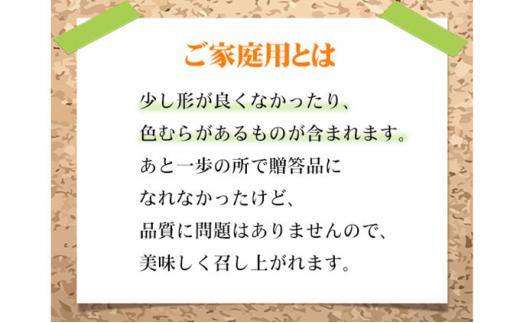 ぶどう 2026年  ご家庭用 シャイン マスカット 晴王 3～6房 約1.5kg ブドウ 葡萄  岡山県産 国産 フルーツ 果物