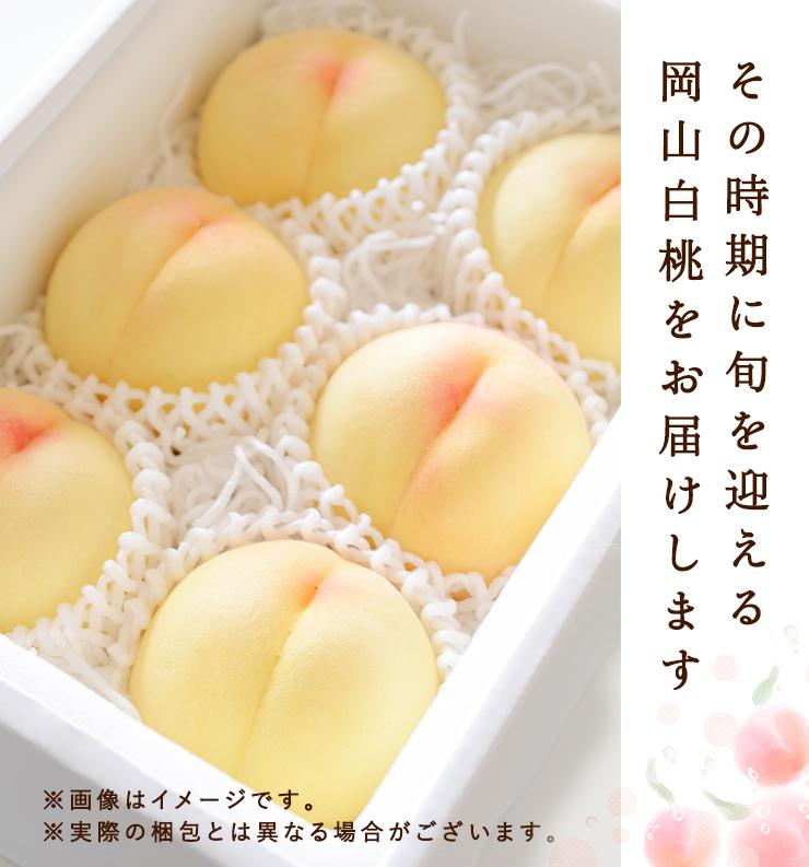 2026年  岡山県産　白桃6玉(1.5kg以上) 等級：ロイヤル 化粧箱入り